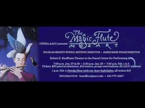 W.A. Mozart: Die Zauberflöte -Ach, ich fühl's