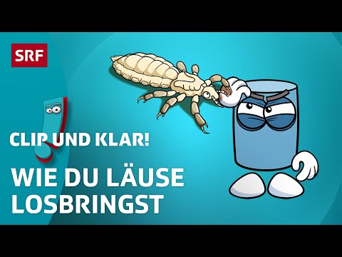 Was sind Kopfläuse & wie behandle ich sie? | SRF Kids – Clip und klar! | Für Kinder erklärt