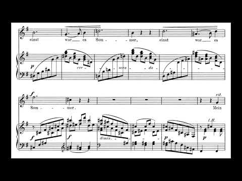 Ich Ging Im Walde So Für Mich Hin - Misc Traditional