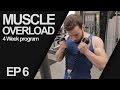 MUSCLE OVERLOAD/ ARMS Ep 6 (4 Week Program)