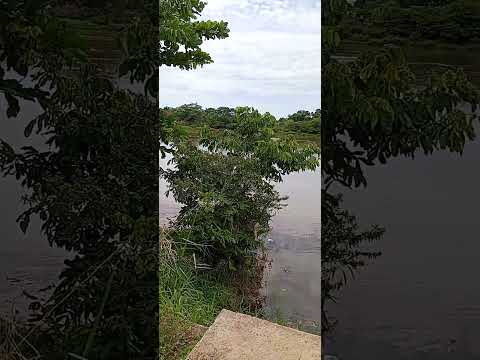 ART'S DA NÔ rio taquari Coxim -Mato Grosso do Sul Pantanal