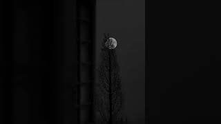 Download lagu Play Date - Melanie Martinez (Lyrics) | 'You know I give a fuck about you everyday' | Aesthetic mp3 Download lagu Play Date - Melanie Martinez (Lyrics) | 'You know I give a fuck about you everyday' | Aesthetic mp3