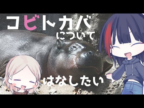 カバについて詳しく解説