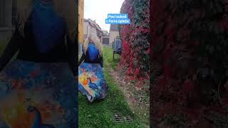 Dámská dlouhá maxi sukně Ferra Páv vel. S/L