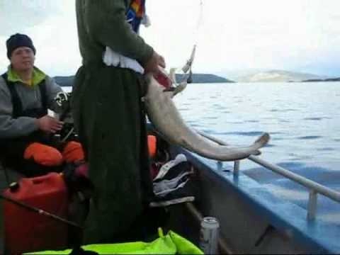 Victoria Friedrichshain