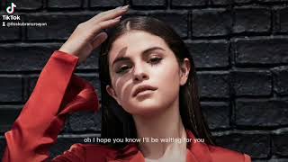 Selena Gomez - red light (lyrics)