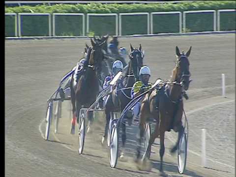 Trotto 14/05/2017 - 6ª corsa