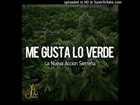 La Nueva Acción Sierreña - Me Gusta Lo Verde (En Vivo)