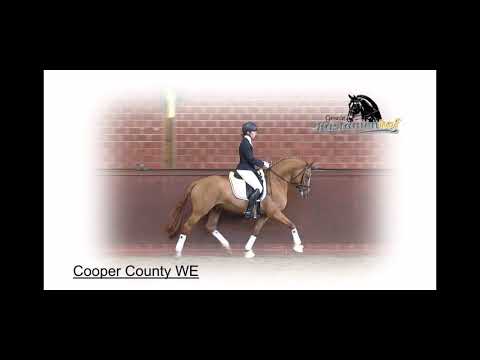 Cooper County WE 2019