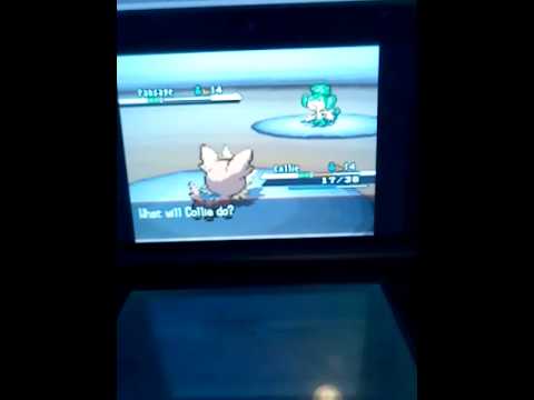 Pokemon black wedlocke part 10