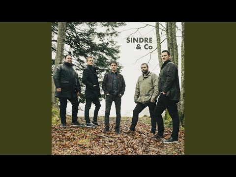 Absolutt sjøgl av Magne Kleiveland og Jon Jelmert