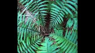 inner labyrinth   stoa