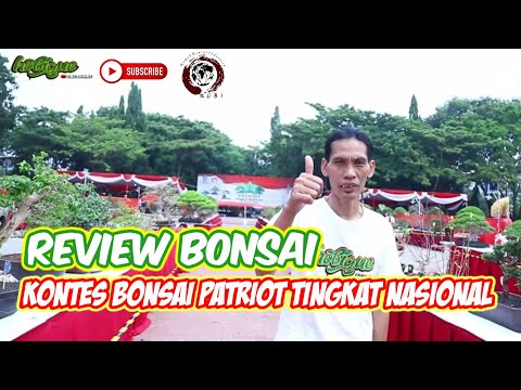 , title : 'REVIEW BONSAI  | KONTES BONSAI PATRIOT TINGKAT NASIONAL | RUBI (Rumah Bonsai Indonesia)'