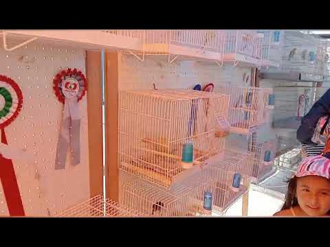 una meravigliosa giornata con l'associazione A.O.M