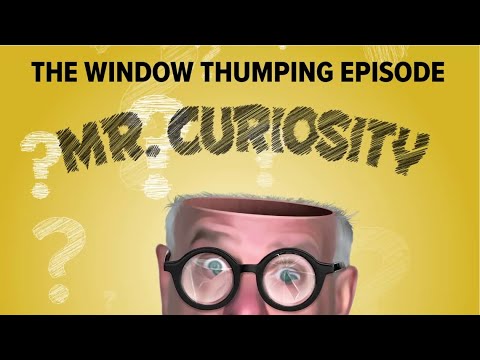 The Window Thumping Episode | Mr. Curiosity