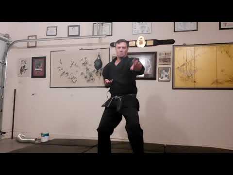 Pinan 2 – Sensei Stephen Jeckel