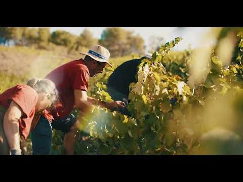 Mas Doix  ENG Corporate Movie