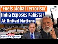 India Shreds Pakistan At UN Over Pahalgam Attack Ankit Agrawal Study IQ
