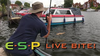 #tbt Terry Hearn having a scrap with a thames mirror!