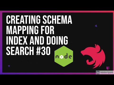 Creating Schema Mapping for Index and Doing Search 30