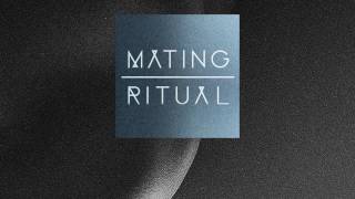 Mating Ritual &amp; Lizzy Land - Song Beneath the Song