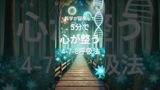 科学が証明したリラックス呼吸｜4 7 8呼吸法で心を整える【眠れない夜にも】