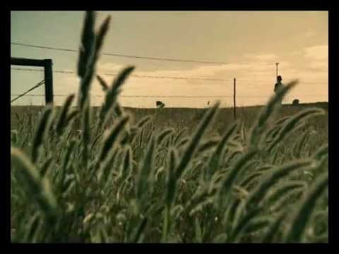 Farryl Purkiss- Million Grains of Sand