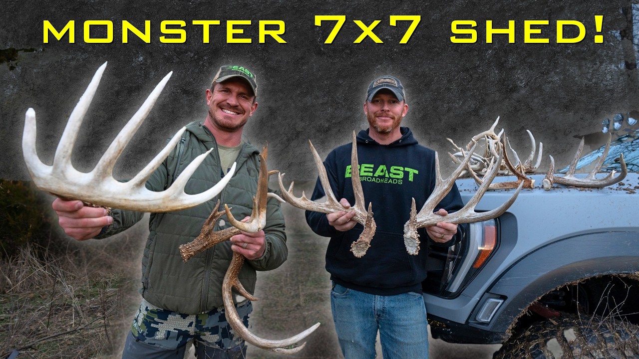 Best Day of Shed Hunting in 2026!
