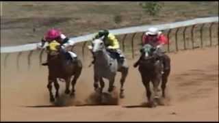 preview picture of video 'Barcaldine Races 30/11/2002'