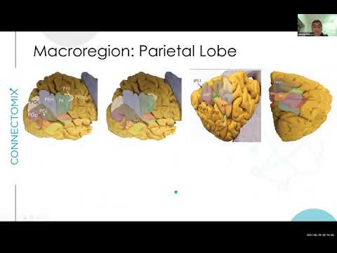 The Connectome Revolution - Episode #5