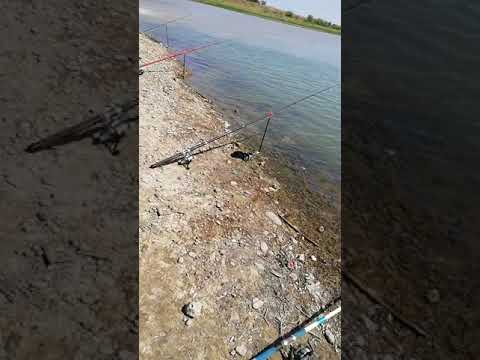 Кура, Ростовановское водохранилище