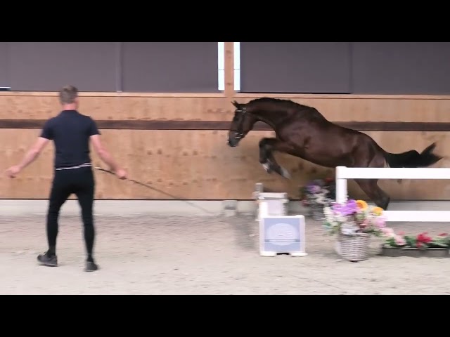 jumping