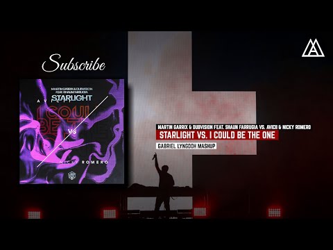 Martin Garrix & DubVision vs. Avicii - Starlight vs. I Could Be The One (Gabriel Lyngdoh Mashup)