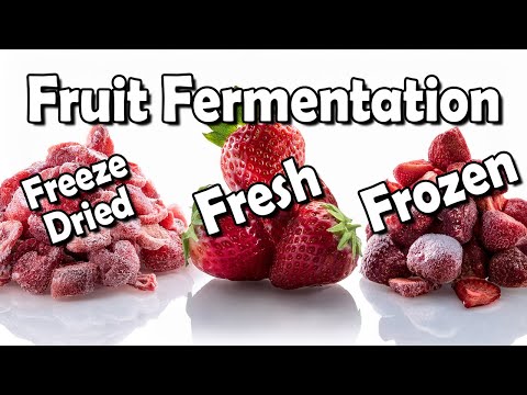 Fresh, Frozen or Freeze Dried Fruit for Fermentation? Find Out!