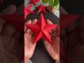 Christmas Star Making