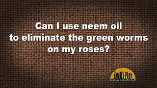 Q&A – Can I use neem oil to eliminate the green worms on my roses?