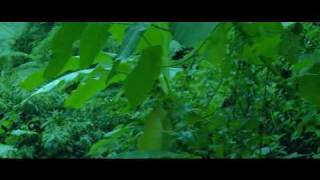 I Come With The Rain (Radiohead Music Video)