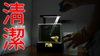 展示級鬥魚住的小缸 點燈後超級漂亮 | 澈方微缸 | 療癒影片