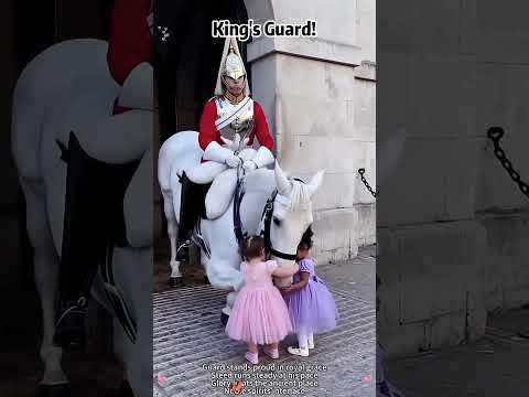 King's Guard ❤️ Royal Horse 🐎❤️#kingsguard#horseguardsparade#peterellis#soldier#tourist