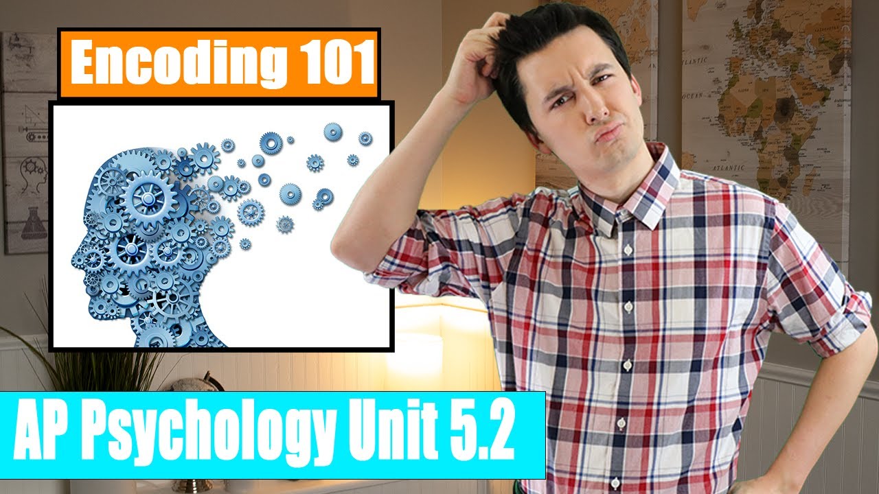 Memory & The Encoding Process  [AP Psychology Unit 5 Topic 2] (5.2)