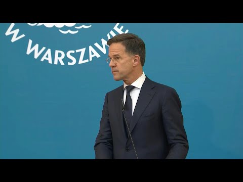 Neither US nor Europe should 'go it alone' on security, says NATO chief | AFP