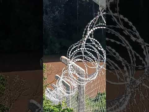 let's explore nature with me