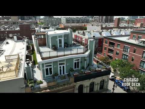 Joey Lamp Video Creative video.