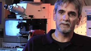 Licenciatura em Ciências: O Elétron