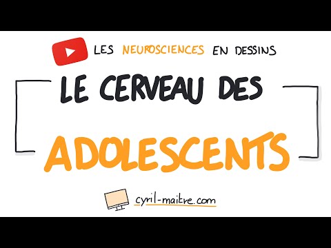 Une vidéo pour comprendre le cerveau des adolescents – Ado Zen