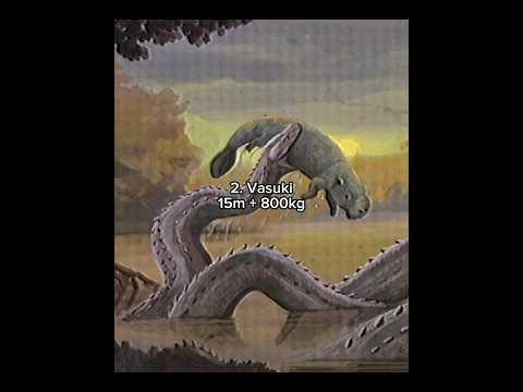 The 4 LARGEST SNAKES to ever live on Earth #snake #titanoboa #vasukiindicus