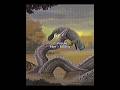 The 4 LARGEST SNAKES To Ever Live On Earth Snake Titanoboa Vasukiindicus