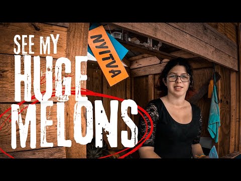 Hungary moto Tour - Hungarian Goulash & Huge Melons