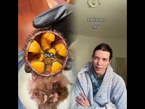 #funny #funnyvideos #fyp #pov #foryoupage #fypシ #foryou#ytb