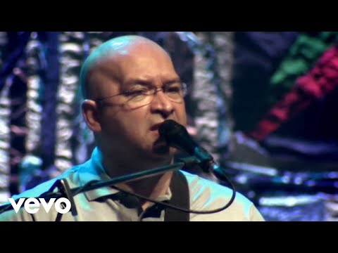 Sem Mais Adeus - Os Paralamas do Sucesso